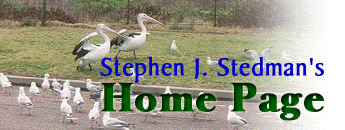 Stephen J. Stedman's Home Page